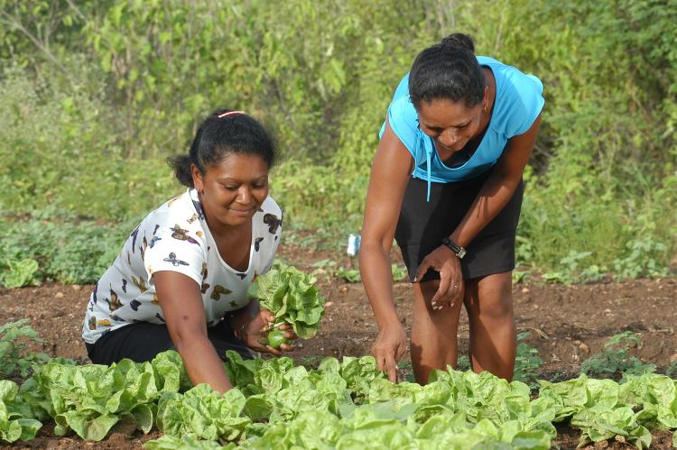 Equipe do MDA leva para Pão de Açúcar/AL ação focada nas mulheres trabalhadoras do campo  