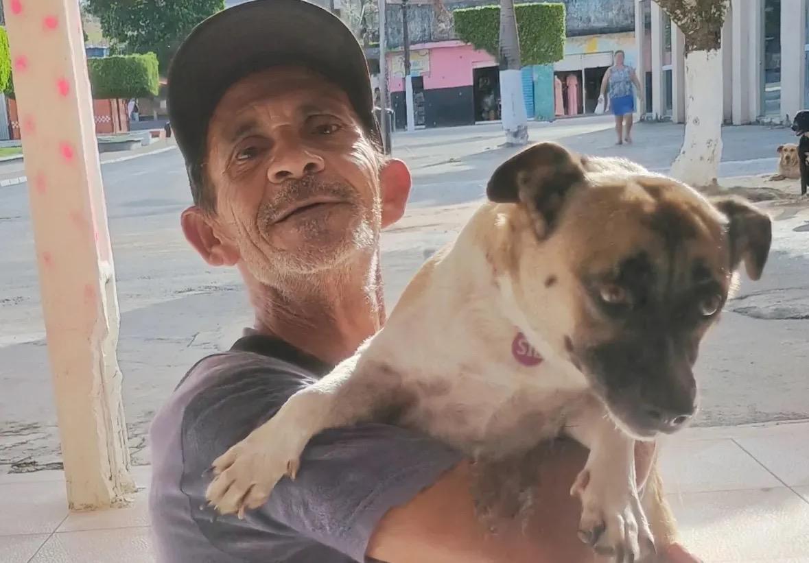 Enquanto o Brasil lamenta pelo cão Orelha, Guirra dos Cachorros luta para que outros não tenham o mesmo fim em Capela/AL