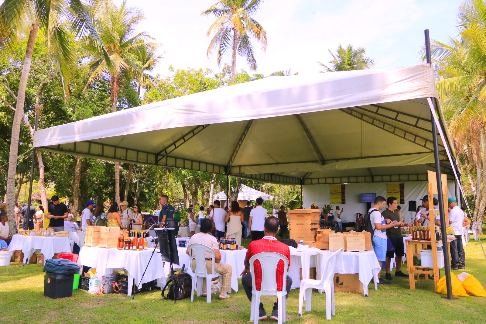 Primeira Feira da Apicultura transforma Fernão Velho no epicentro do mel e própolis vermelha em AL