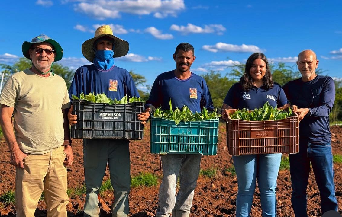 Em Delmiro, projeto “Lagos do São Francisco” marca presença forte no plantio de bananeiras