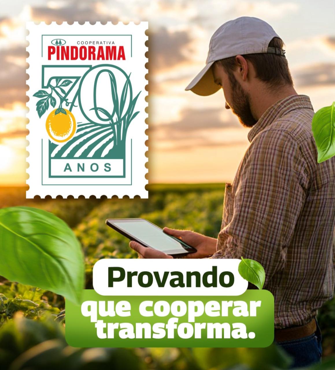 Pioneira em créditos de carbono no Nordeste, Pindorama vivencia seus 70 anos impulsionando desenvolvimento sustentável em AL