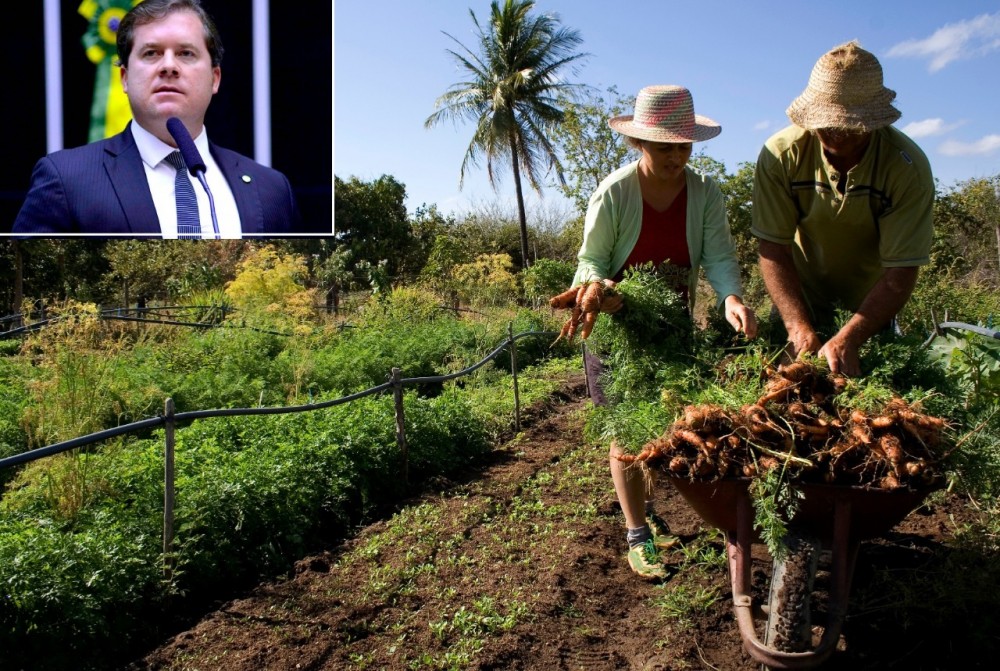 OPORTUNIDADE - Com trabalho de Marx Beltrão, agricultores ganham nova chance para renegociarem dívidas