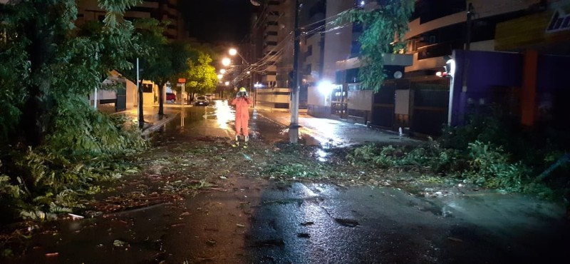 PRESENTINHO DA CHUVA – Temporal derruba parte de árvore que cai em via da Ponta Verde