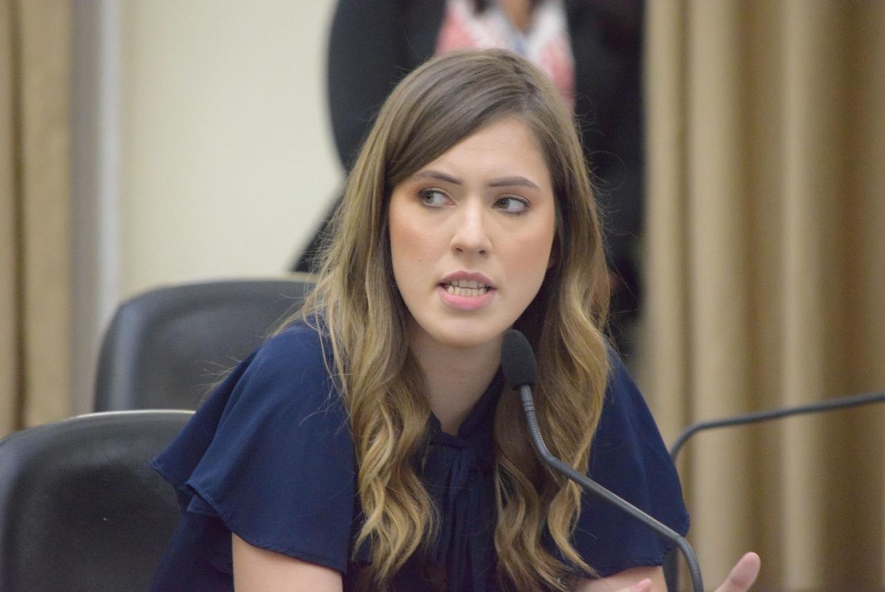 CRÉDITO PARA INFORMAIS - Cibele Moura apresenta indicação que concede crédito a feirantes, ambulantes e artesãos