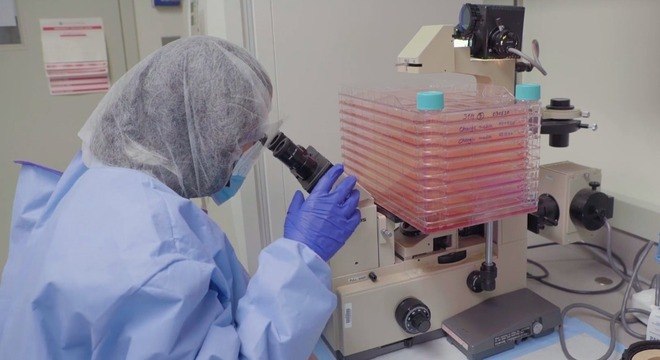 MAIS UMA ESPERANÇA – Medicamento antiparasita pode ‘matar’ coronavírus em 48h