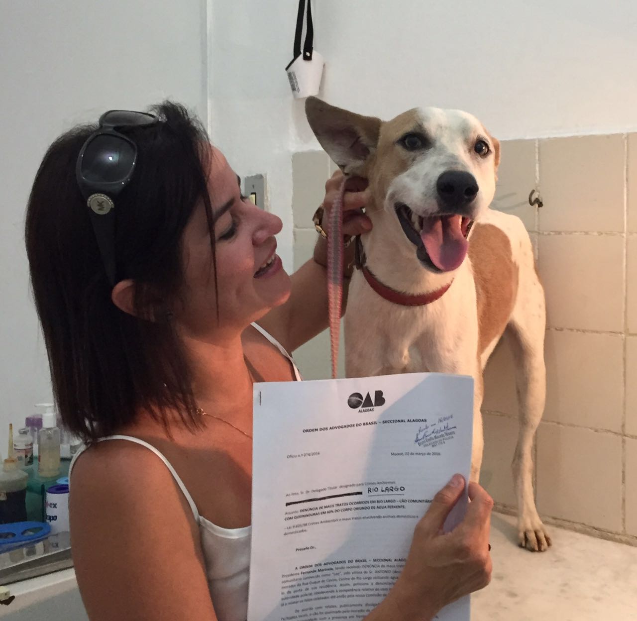 SAIBA COMO AJUDAR - Abrigos de animais passam por dificuldades