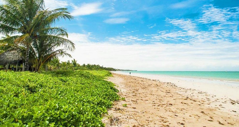 Beach Club Milagres do Toque vai implantar projeto de aumento de área de restinga e de reciclagem de lixo