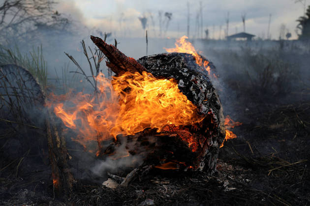 Amazônia perde o equivalente a 3 cidades de São Paulo em madeira
