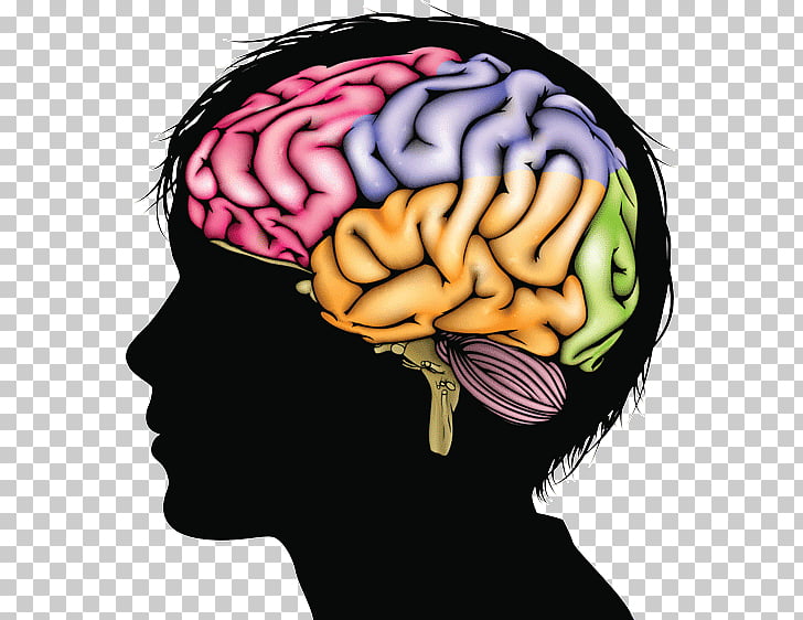 Pesquisa aponta que Covid-19 pode causar encolhimento do cérebro e perda de memória