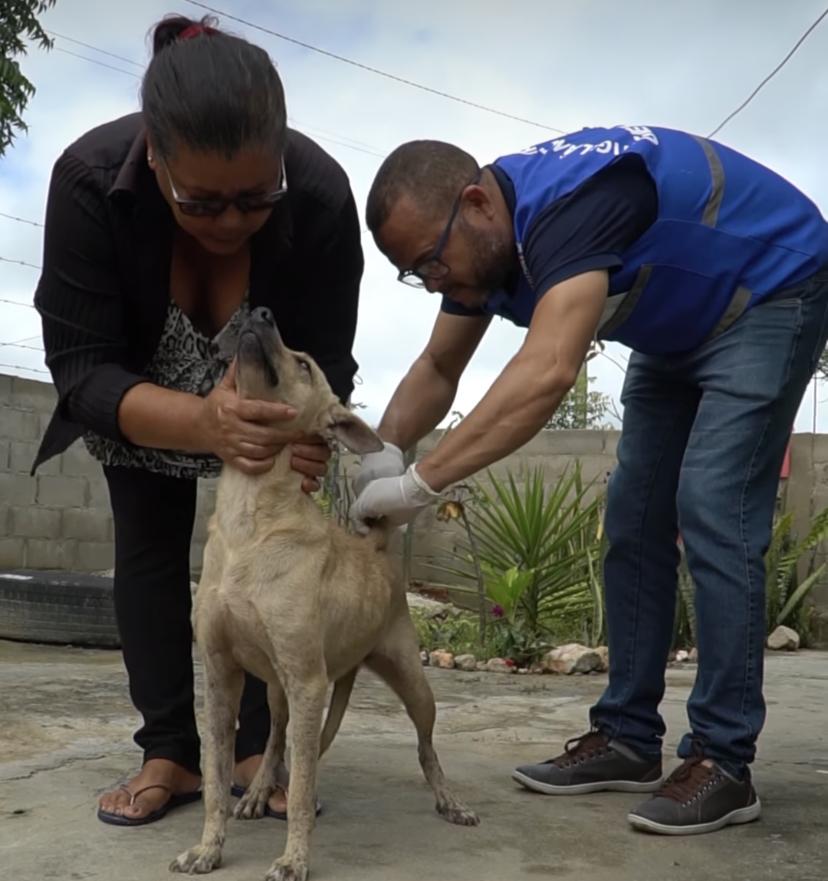 Tapera se destaca no Sertão com projeto voltado para os animais de rua evitando até a reprodução desenfreada