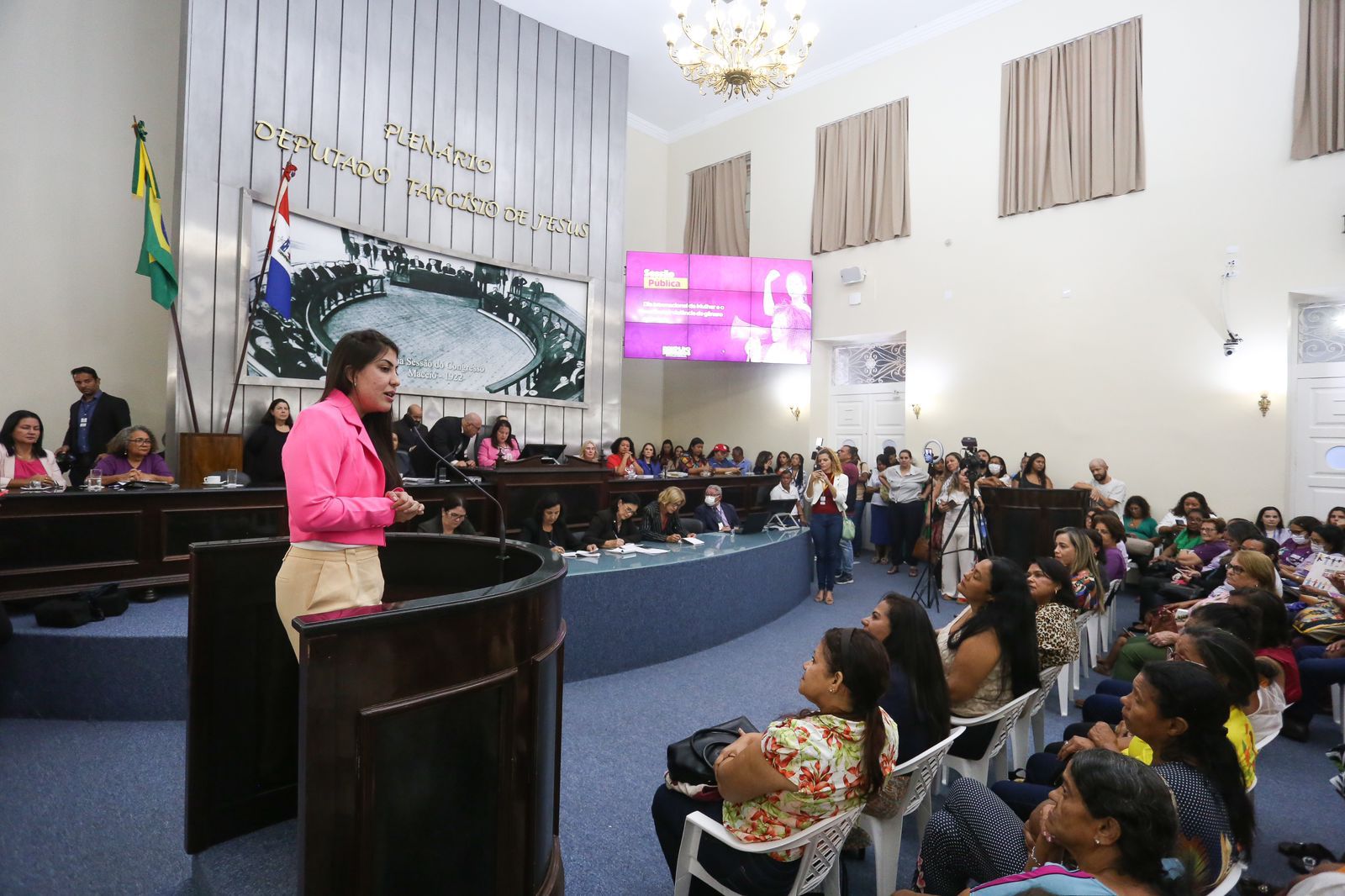 Deputada Gabi Gonçalves participa de  Sessão Pública  sobre violência de gênero