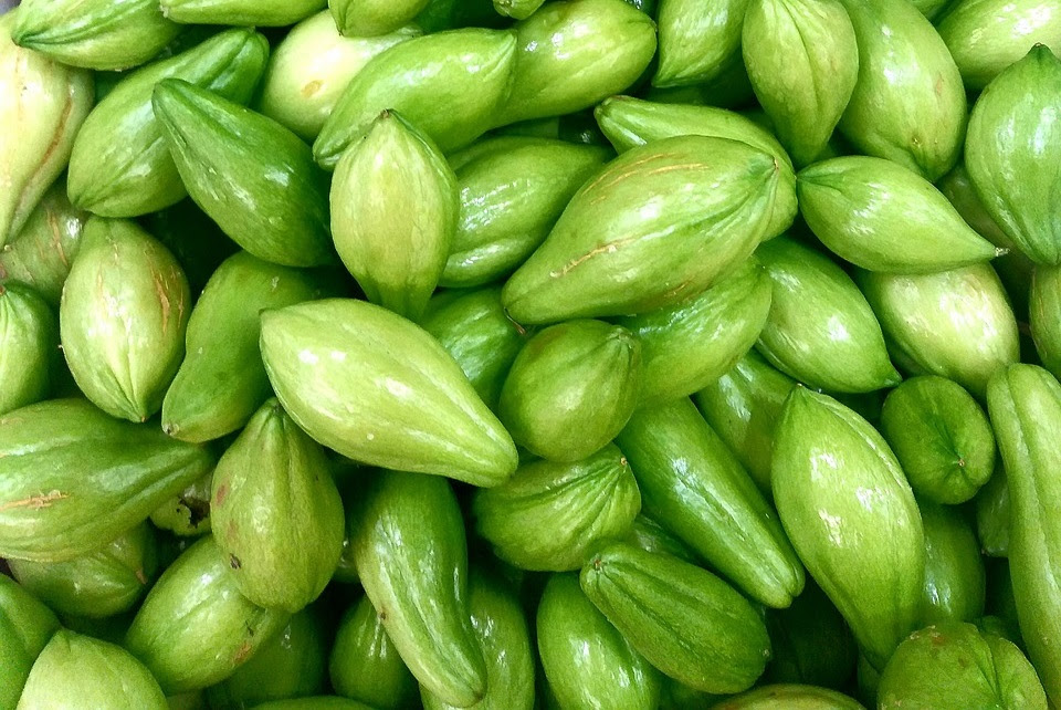 Saiba por que o chuchu deve estar presente na sua dieta