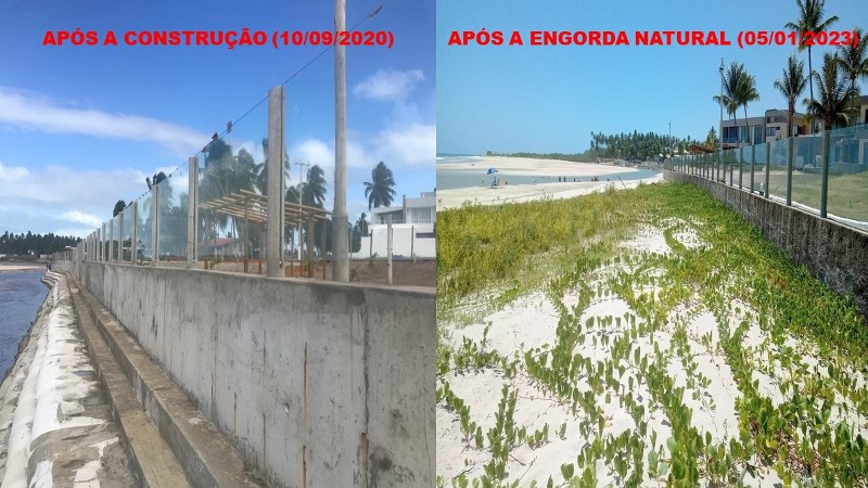 Empresa alagoana pioneira em proteção costeira sustentável ganha destaque internacional