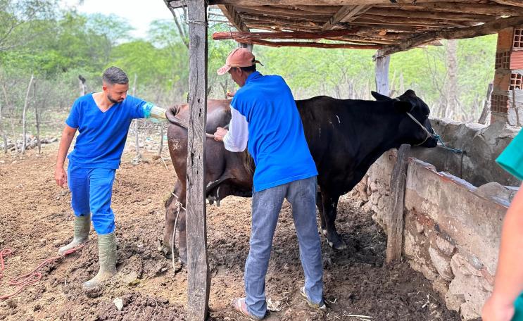 Em Delmiro, "Programa Mais Pecuária Brasil" tem sido uma marca no munícipio