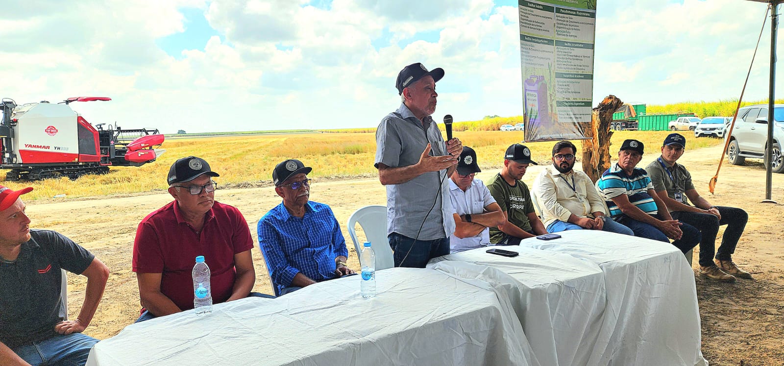 Pindorama promove Dia de Campo para colheita em lote experimental de arroz de sequeiro