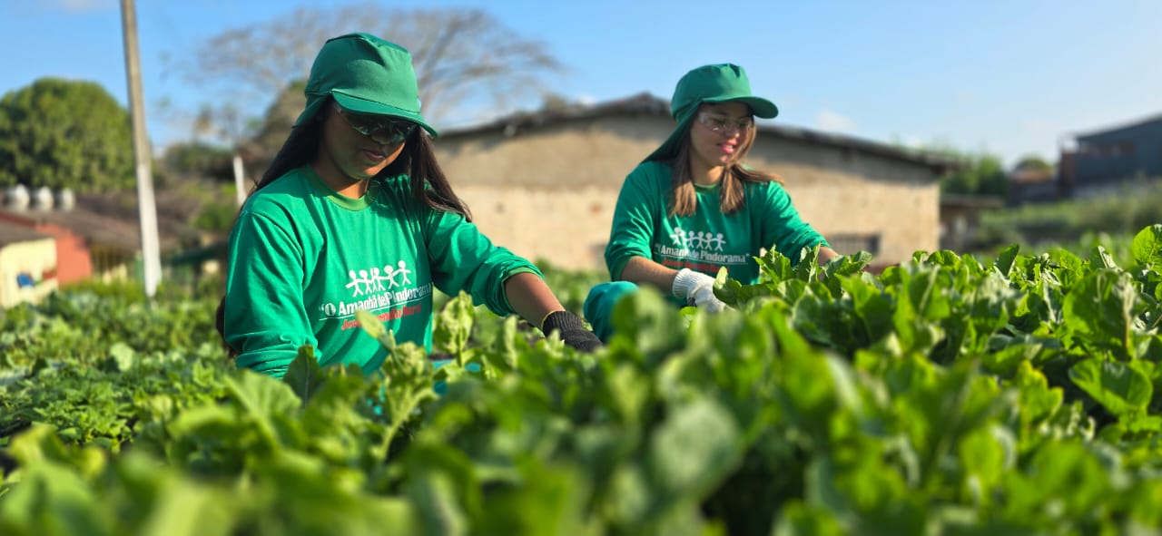 A partir desta quarta, Cooperativa Pindorama sediará Feira Agro Bradesco 2024